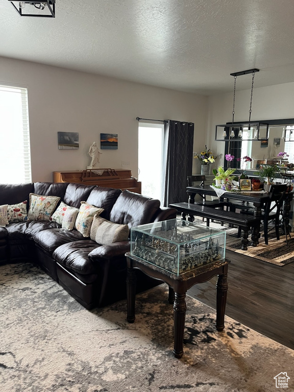 Living room featuring wood finished floors and a textured ceiling