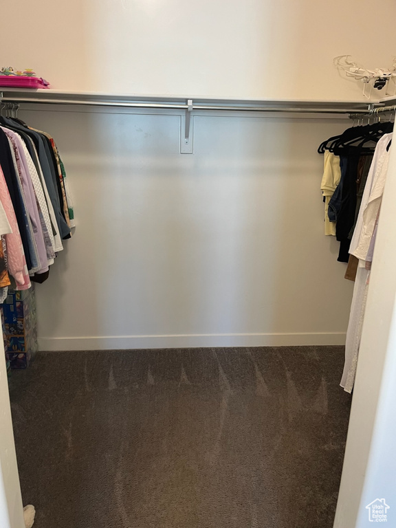 Spacious closet featuring dark colored carpet