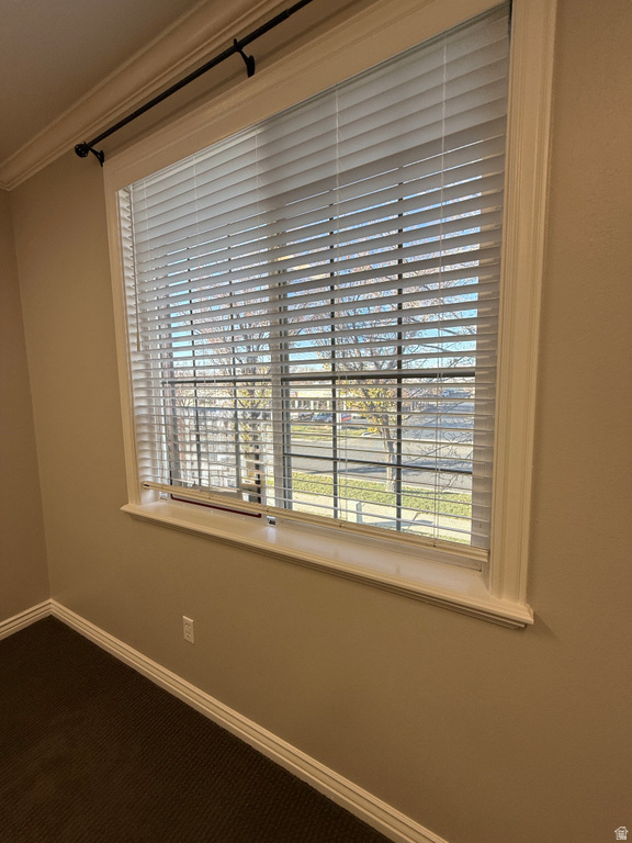 Detailed view of crown molding and carpet floors