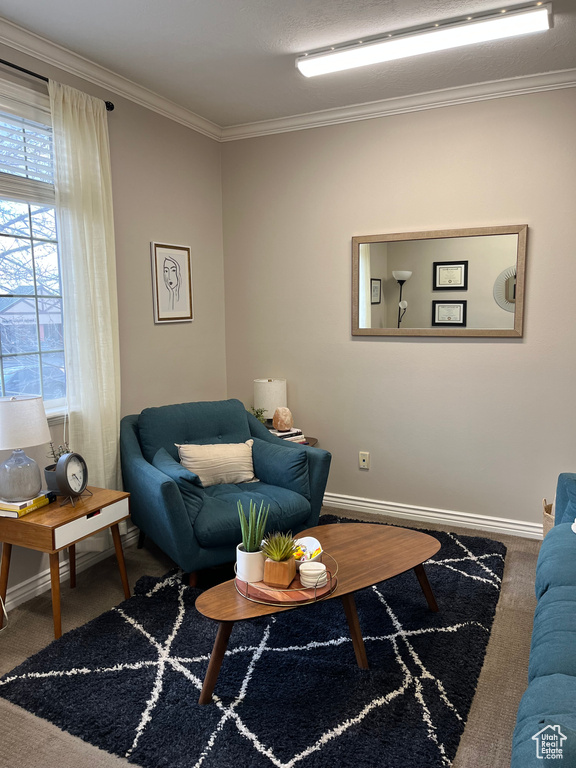 Living area with crown molding, carpet, and baseboards