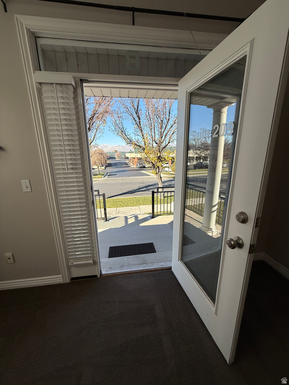 Doorway to outside featuring carpet and plenty of natural light