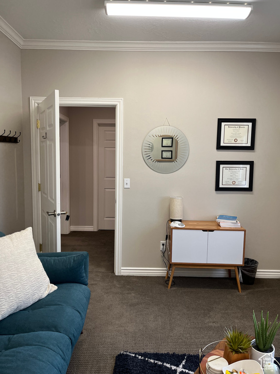 Living room featuring carpet floors, ornamental molding, and baseboards