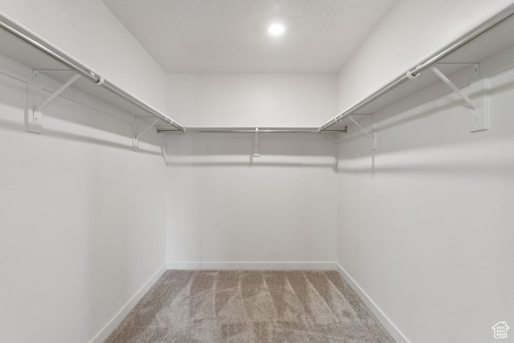 Spacious closet with carpet