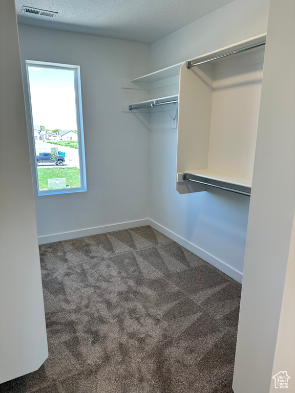 Spacious closet featuring carpet floors