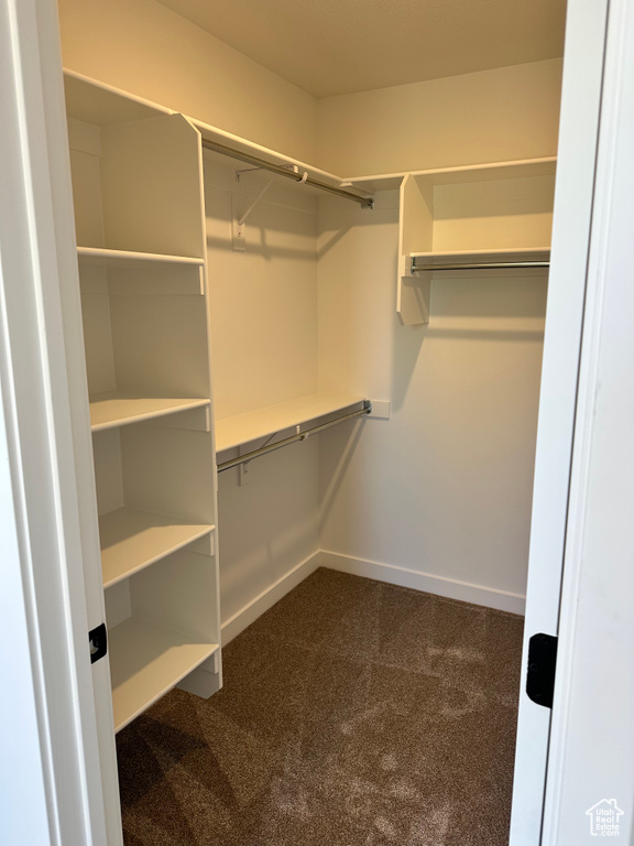 Walk in closet with dark carpet