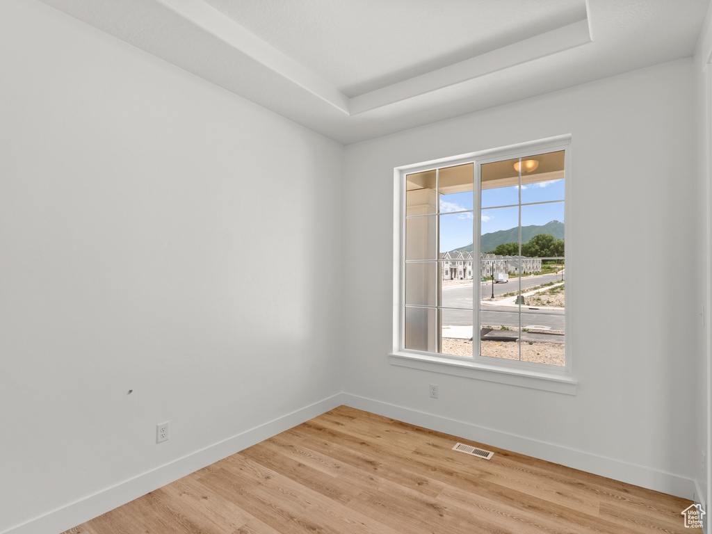 Spare room featuring light wood-style floors, a tray ceiling, and a mountain view