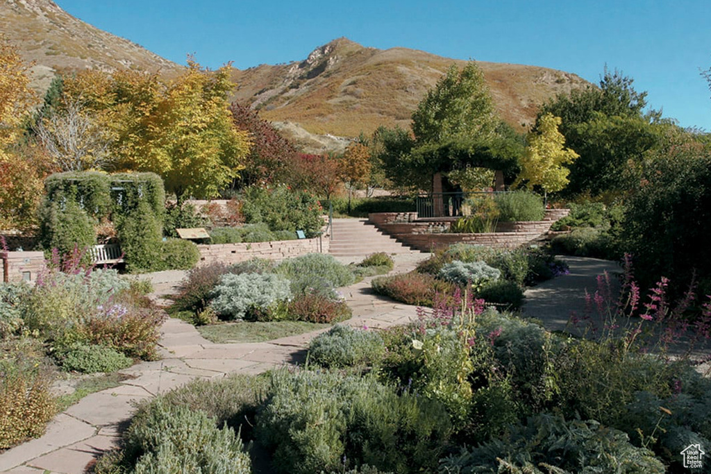 View of property\'s community featuring a mountain view