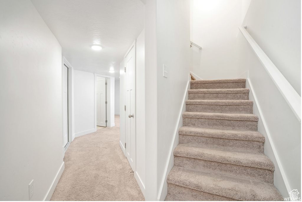 Stairs featuring carpet floors and baseboards
