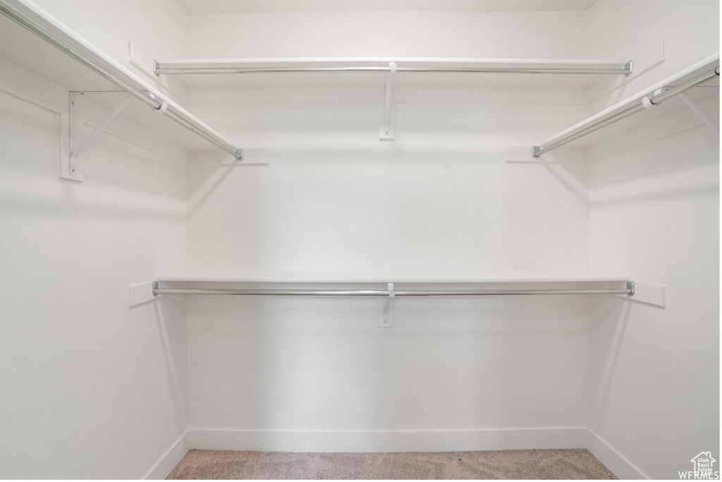 Spacious closet featuring light colored carpet