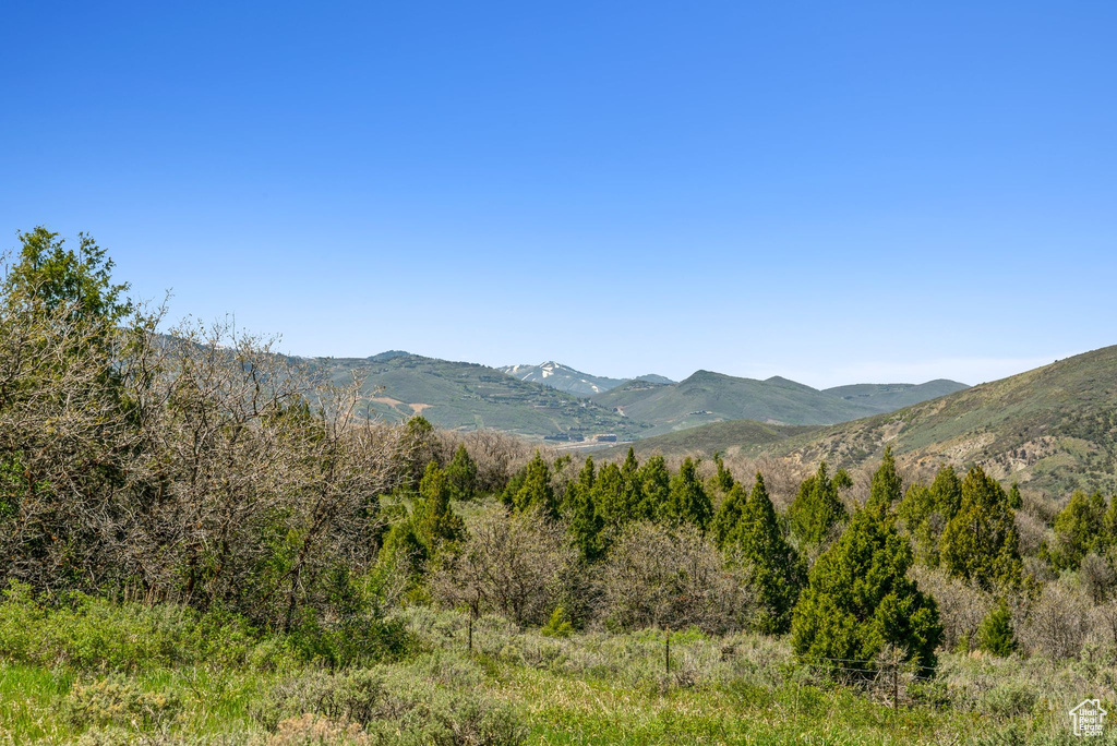 Mountain view