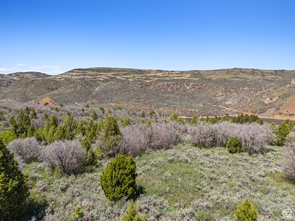 View of mountain background