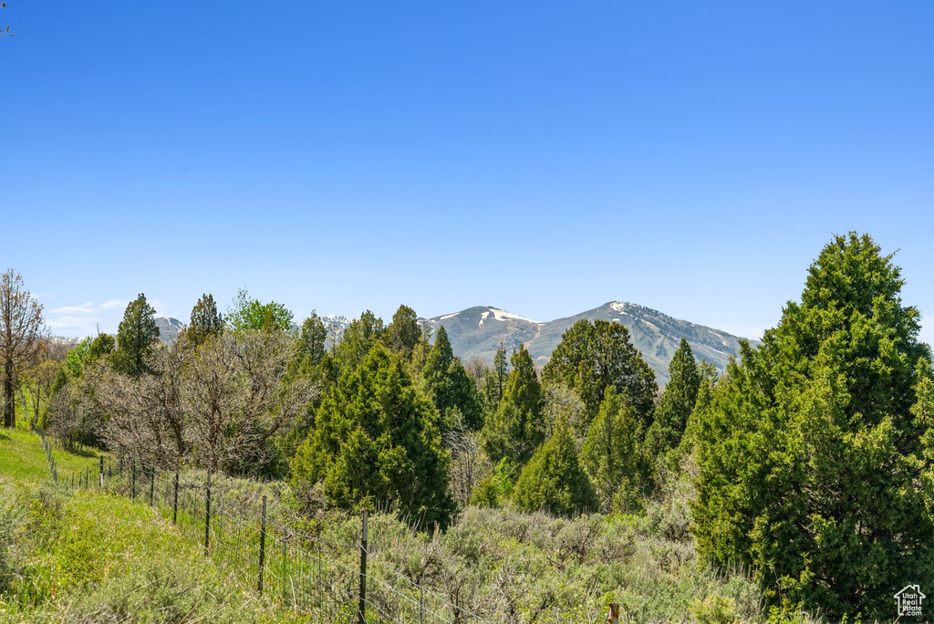 Mountain view