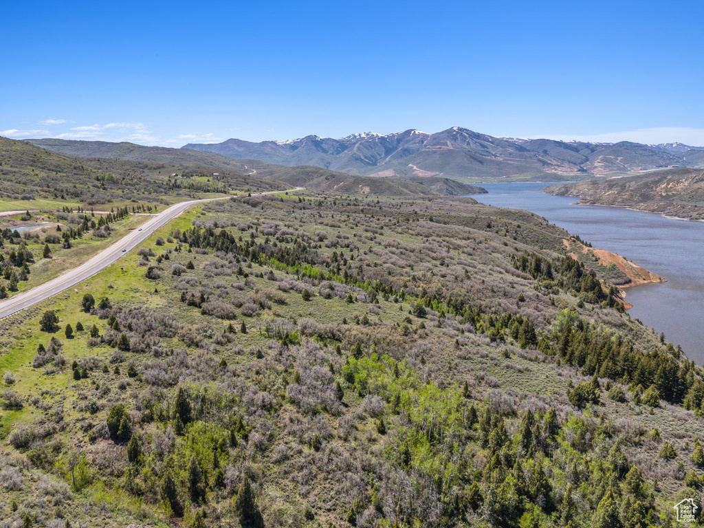 Drone / aerial view of a water and mountain view