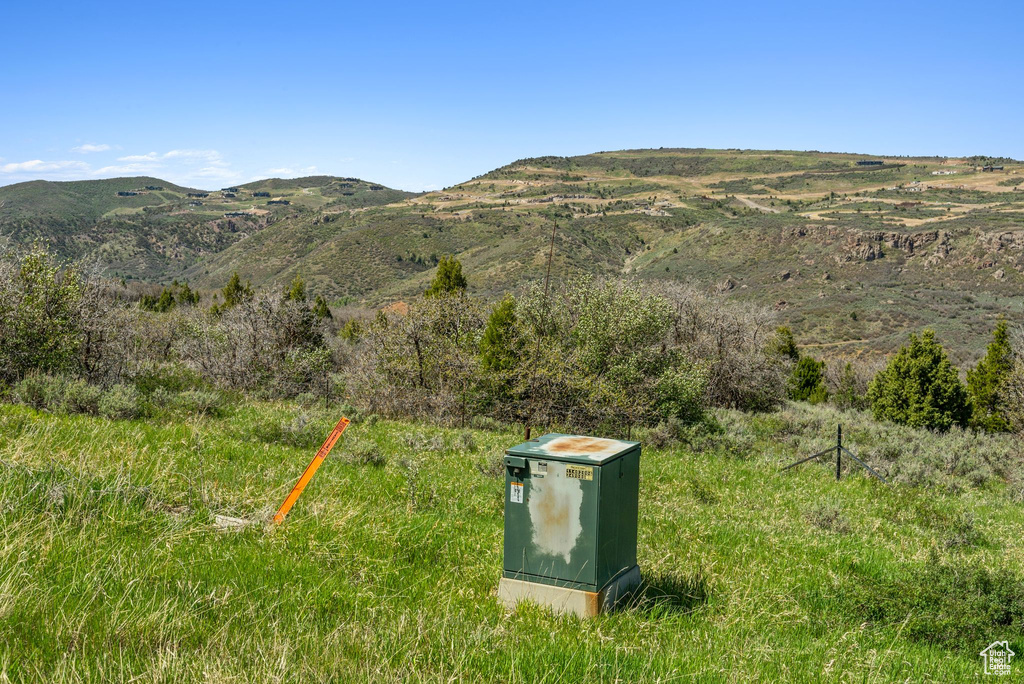 View of mountain background