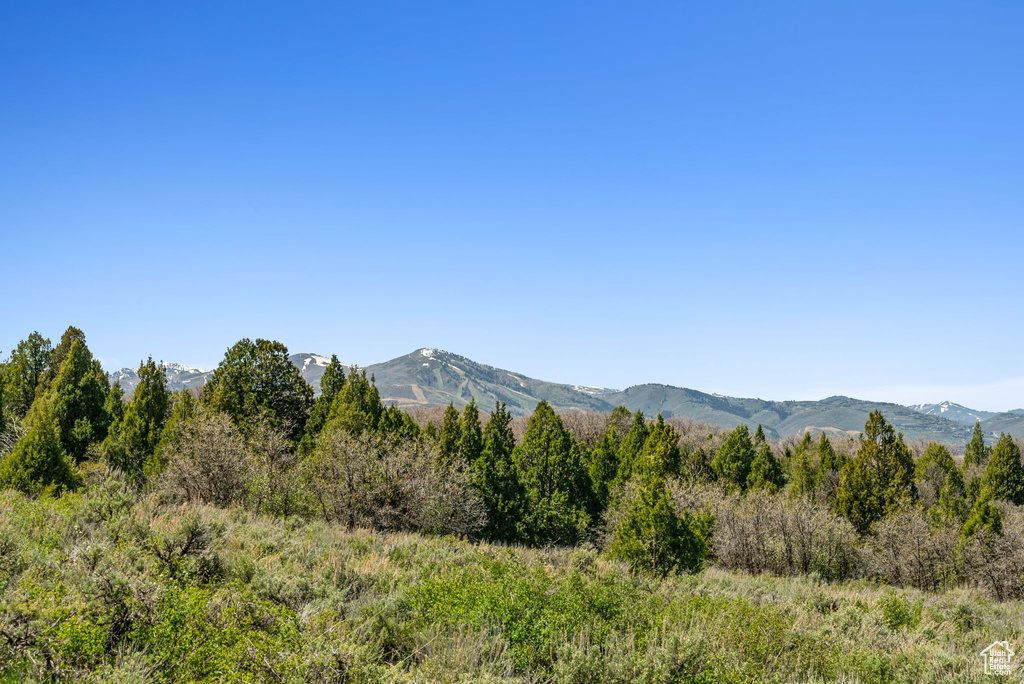 View of mountain backdrop