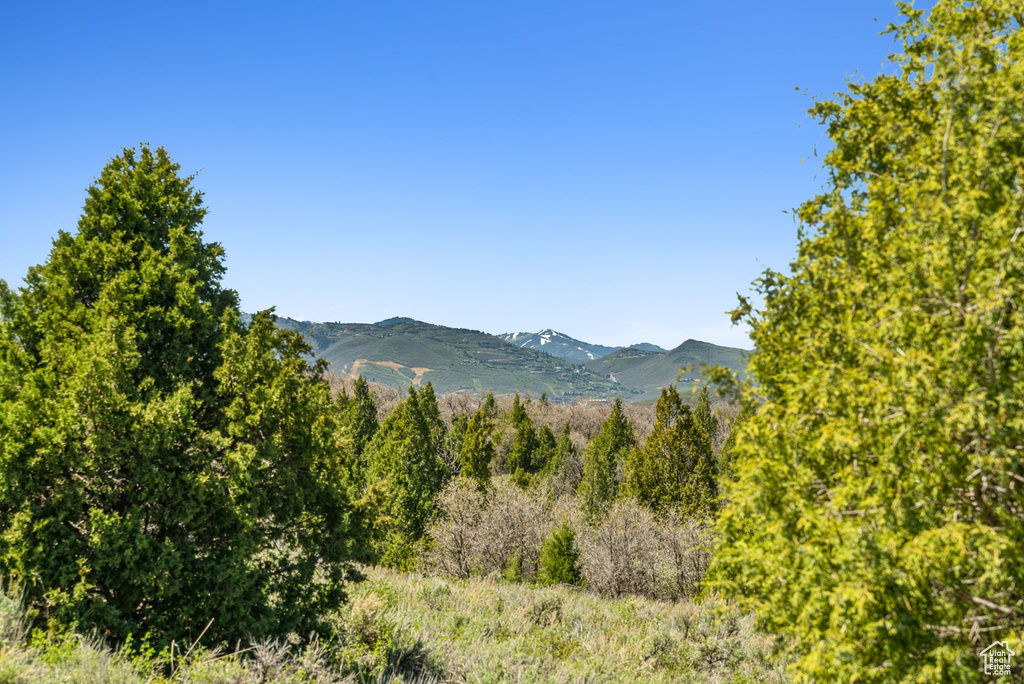 Mountain view