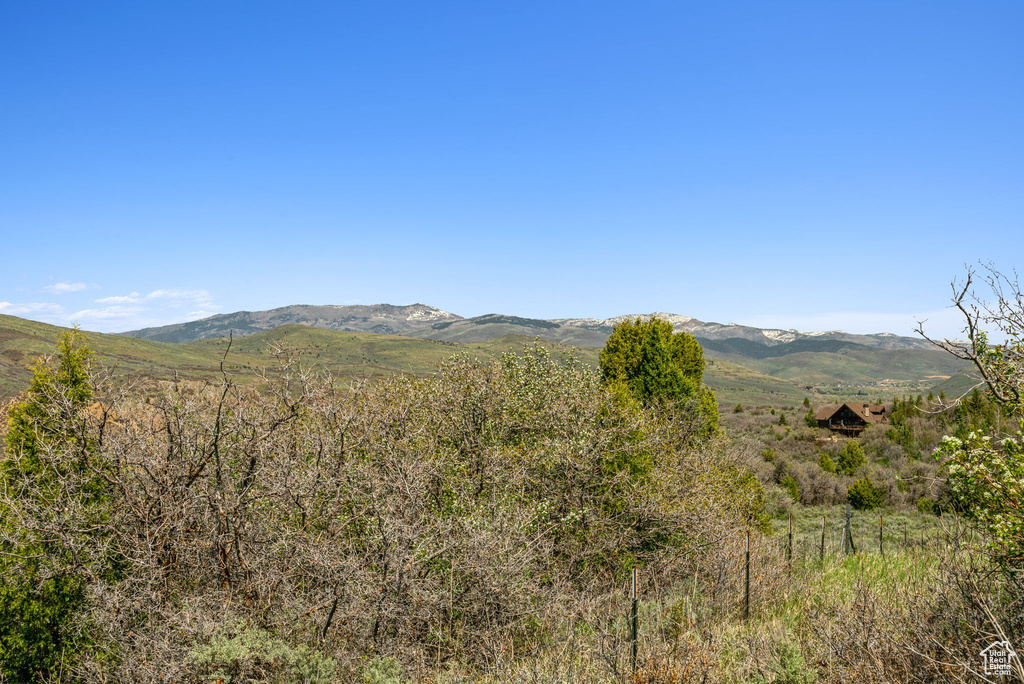 View of mountain background