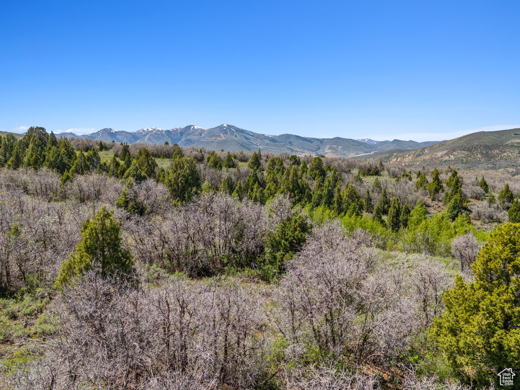 Mountain view