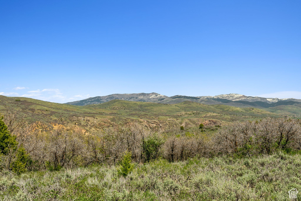 Mountain view