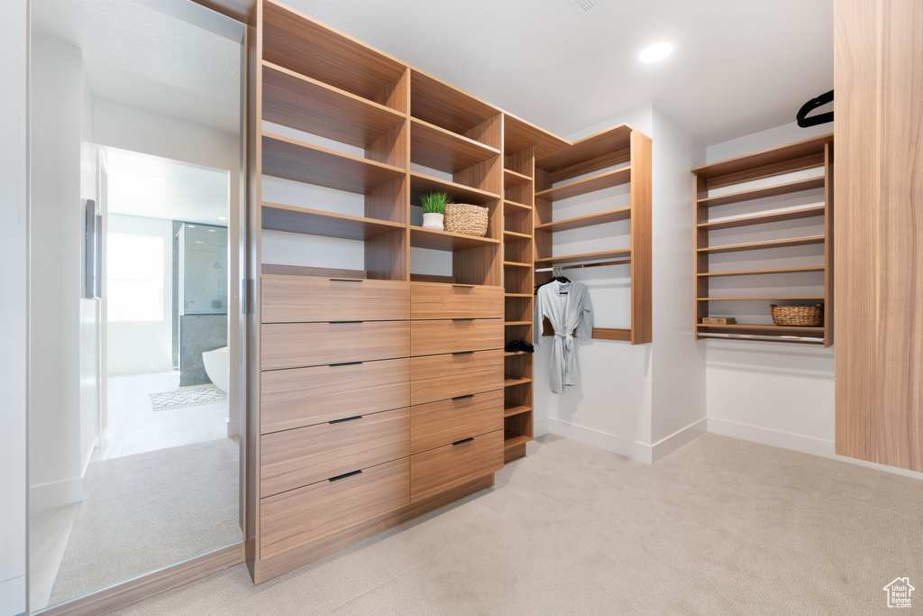 Spacious closet featuring light colored carpet
