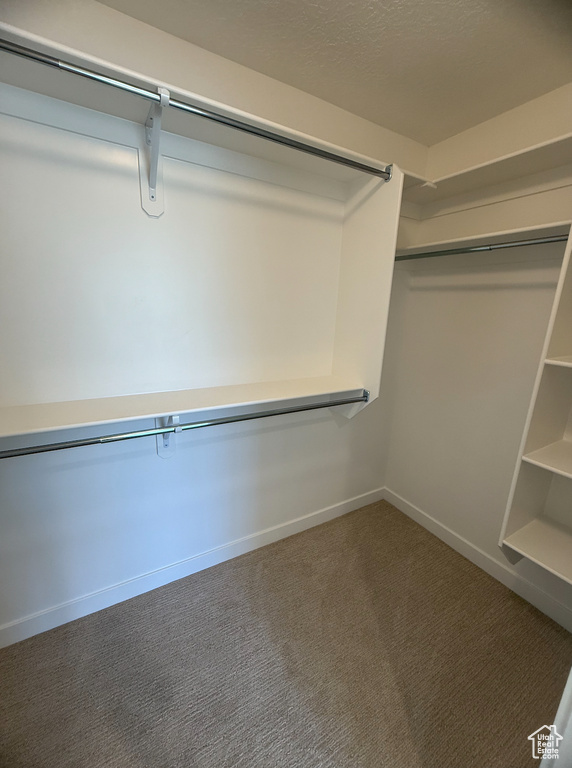 Walk in closet featuring carpet flooring