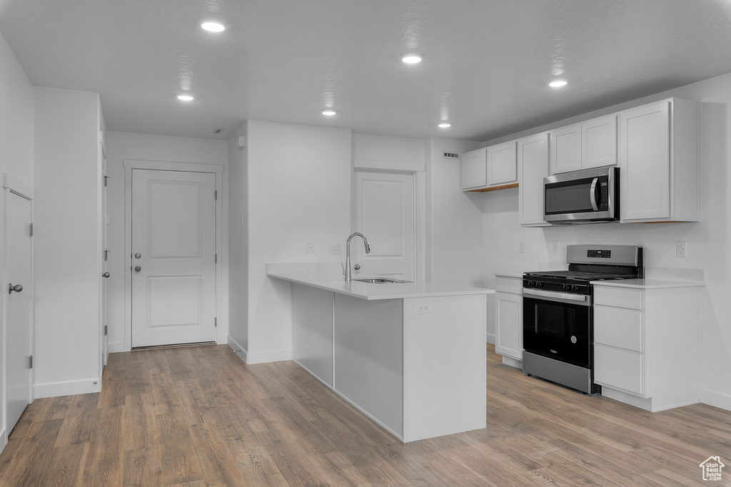 Kitchen featuring stainless steel appliances, a sink, light wood-style flooring, light countertops, and recessed lighting