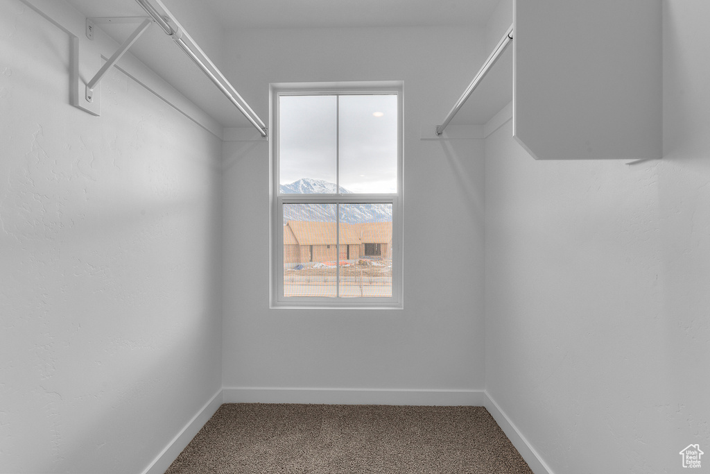 Spacious closet with carpet flooring