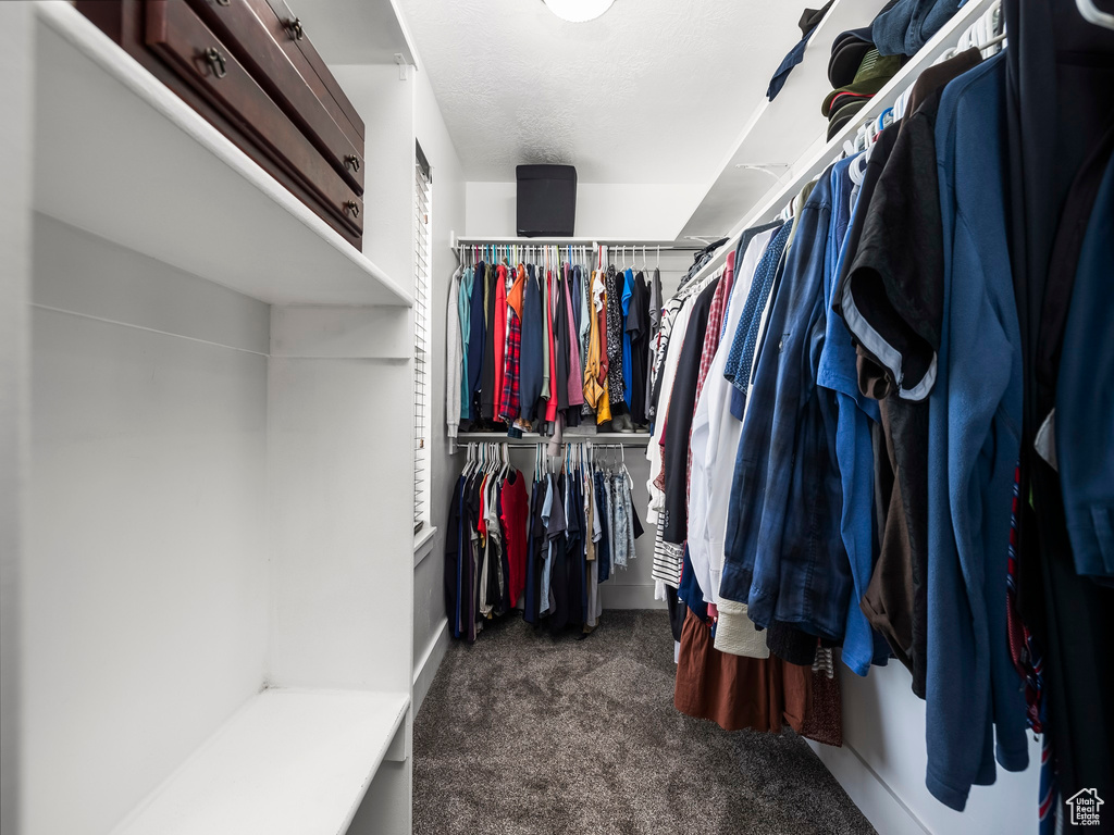 Spacious closet with dark colored carpet