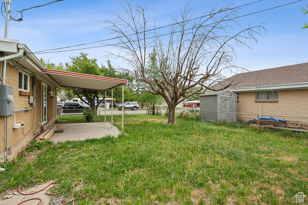 View of yard featuring a shed, an outbuilding, and a patio