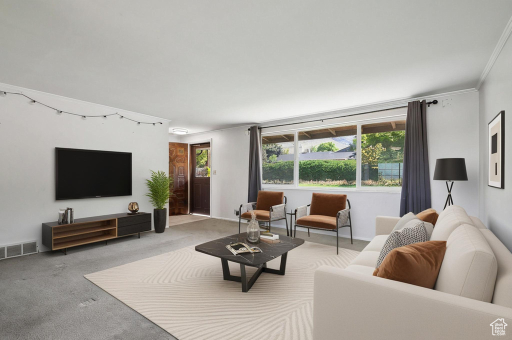 Living room with carpet and crown molding