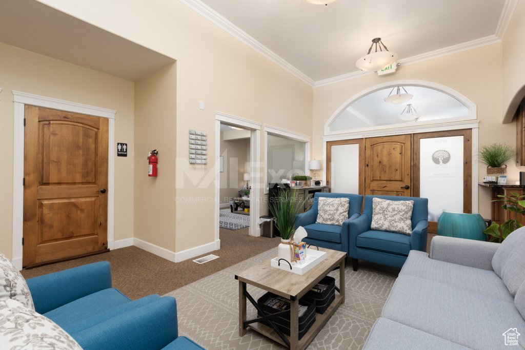 Living area with ornamental molding, carpet floors, and baseboards