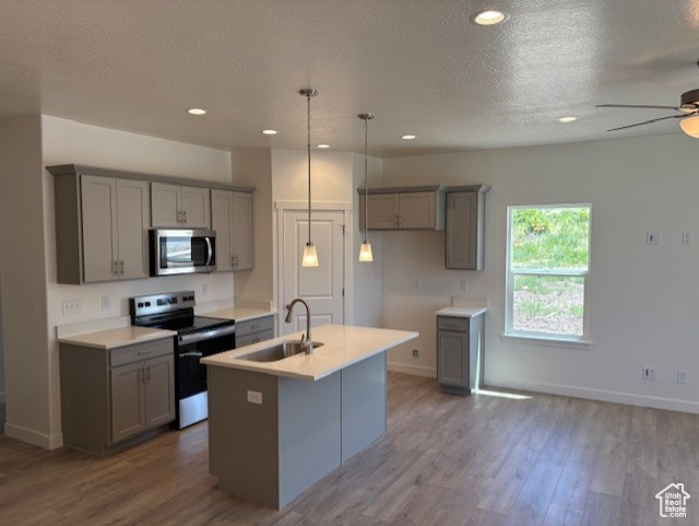 Kitchen featuring gray cabinetry, appliances with stainless steel finishes, a sink, wood finished floors, and recessed lighting