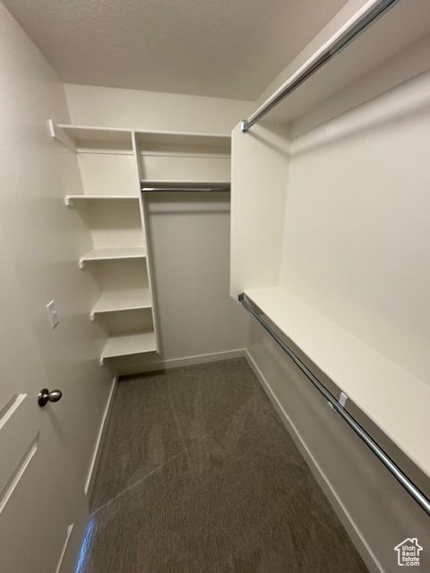 Walk in closet with dark colored carpet