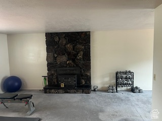 Unfurnished living room featuring carpet floors