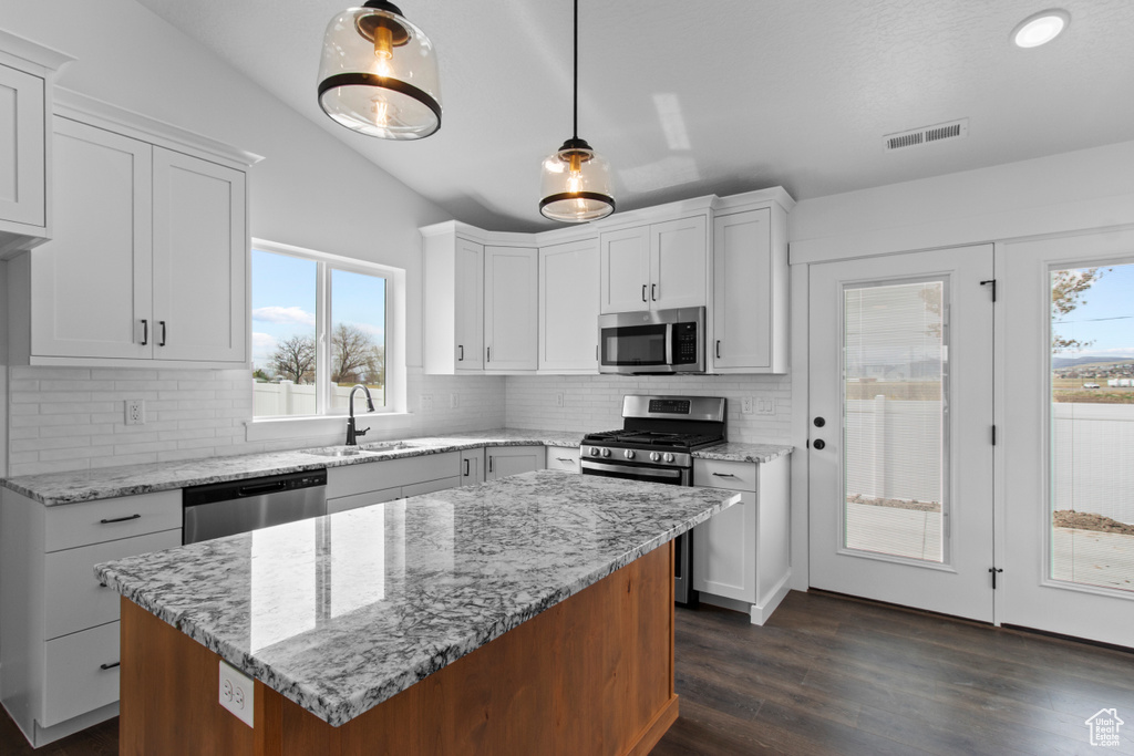 Kitchen featuring stainless steel appliances, a sink, dark wood finished floors, tasteful backsplash, and healthy amount of natural light