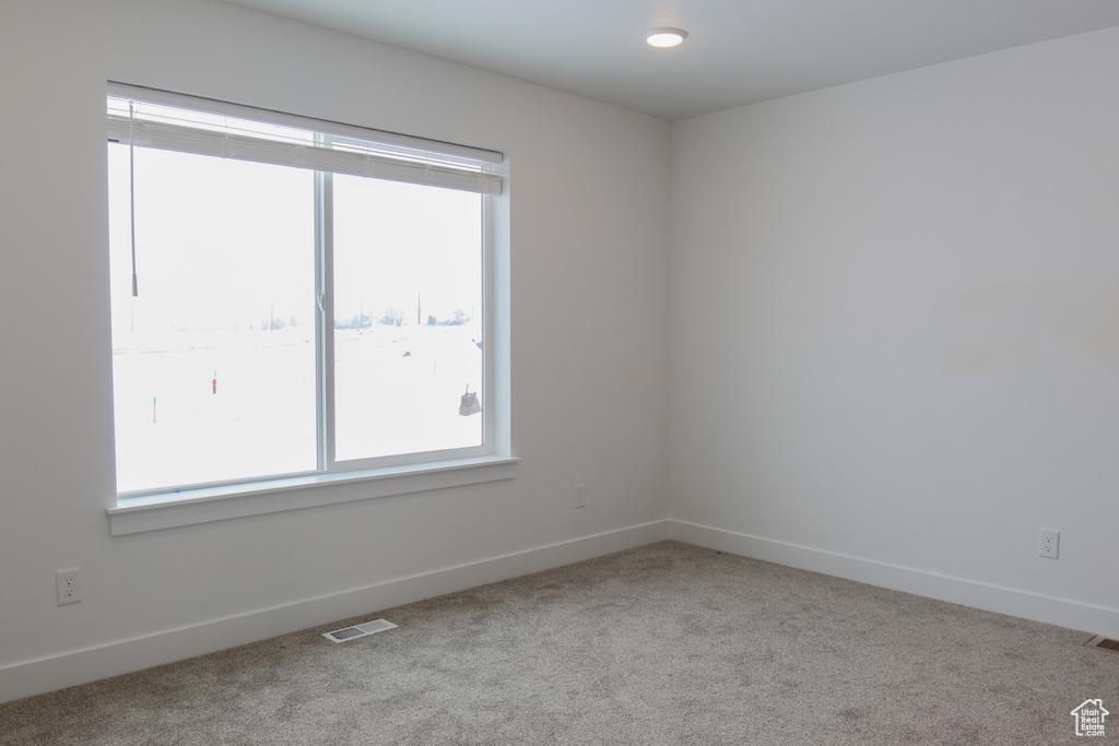 Carpeted spare room with healthy amount of natural light and baseboards