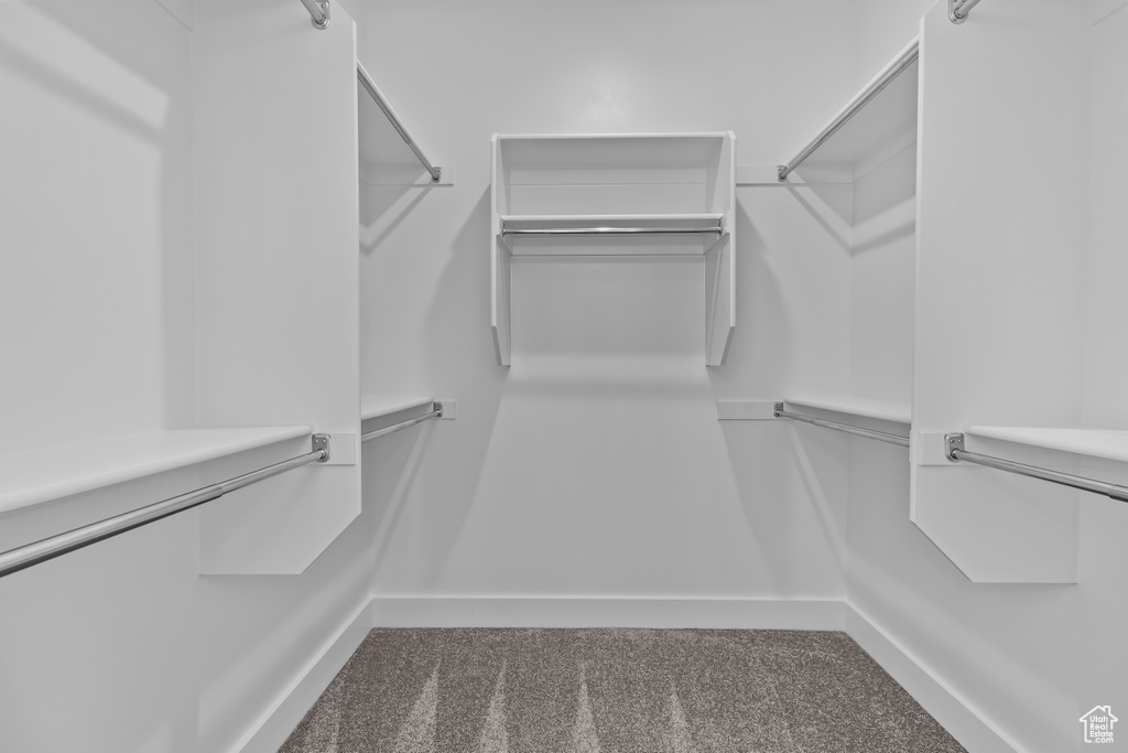 Walk in closet with carpet floors