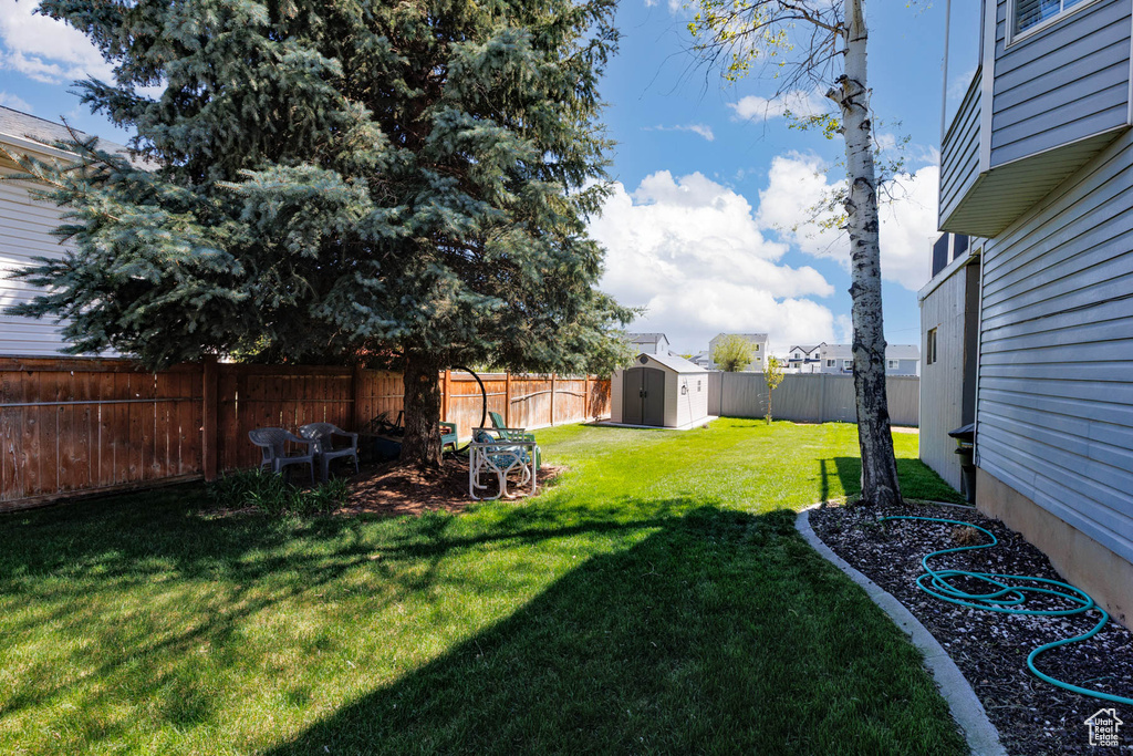 View of yard featuring a storage shed and an outdoor structure