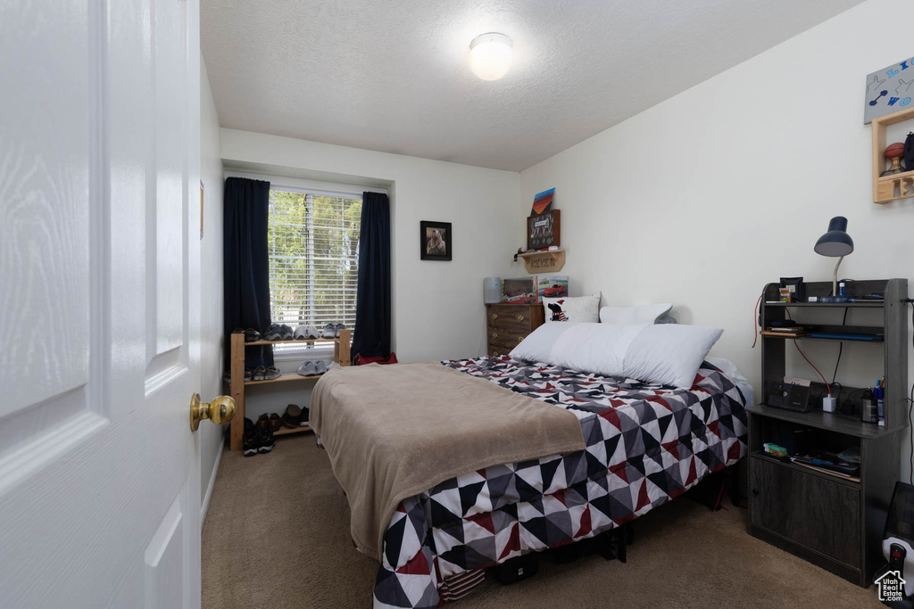 Bedroom with carpet flooring and a textured ceiling