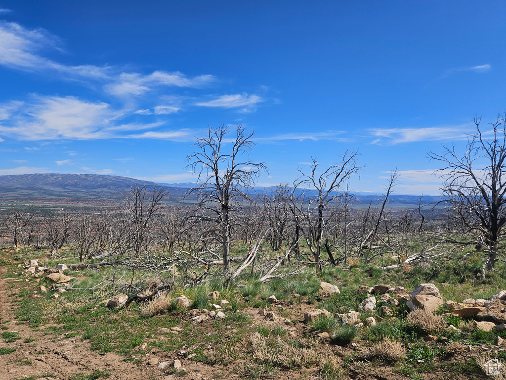 View of mountain background