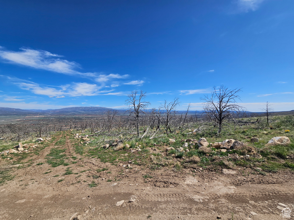View of mountain background