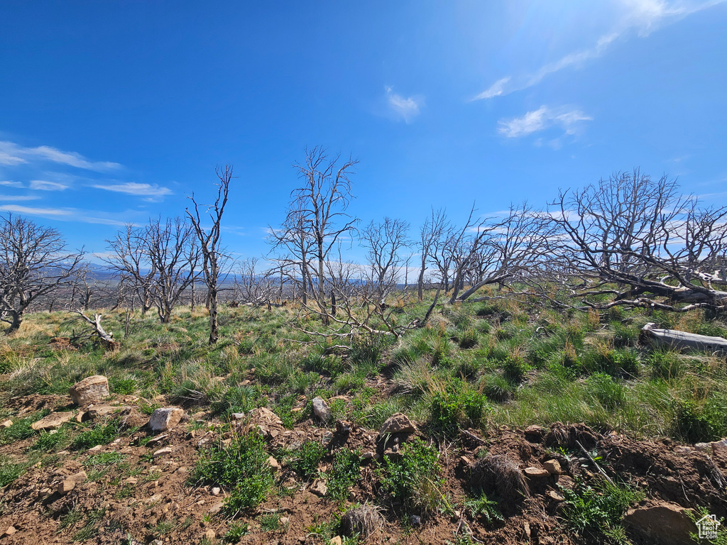 View of undeveloped land