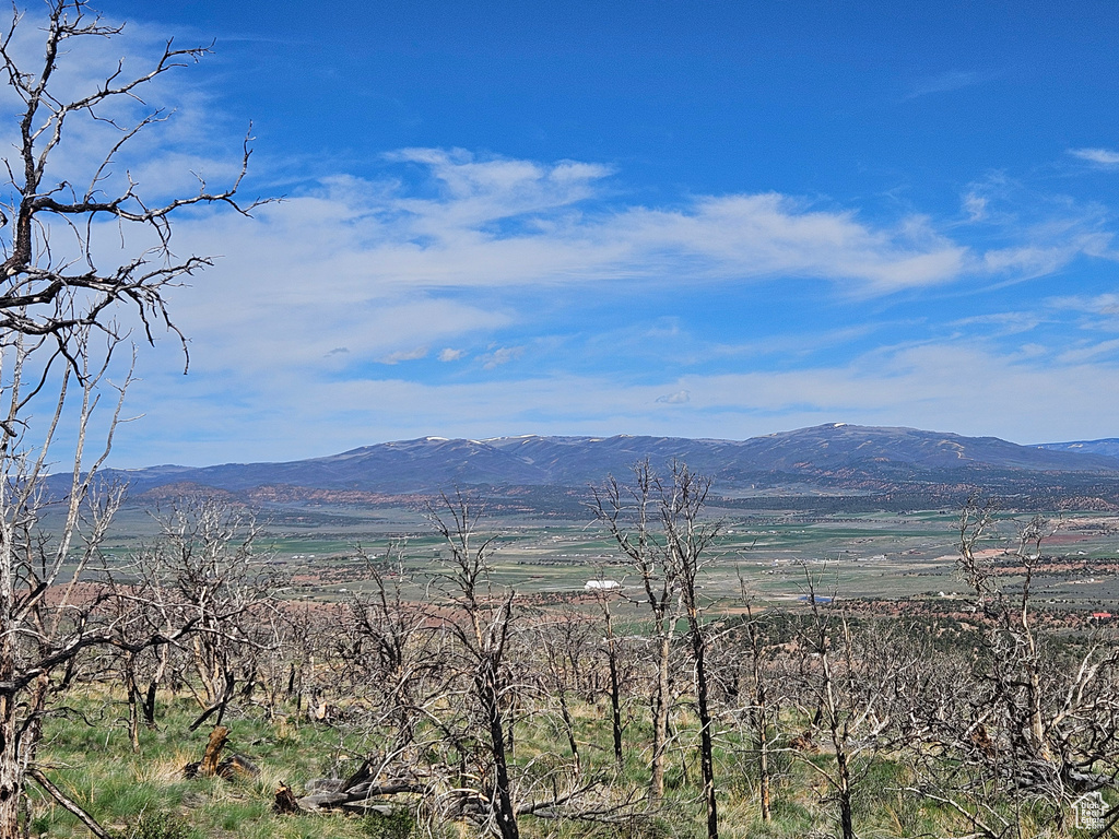 View of mountain background