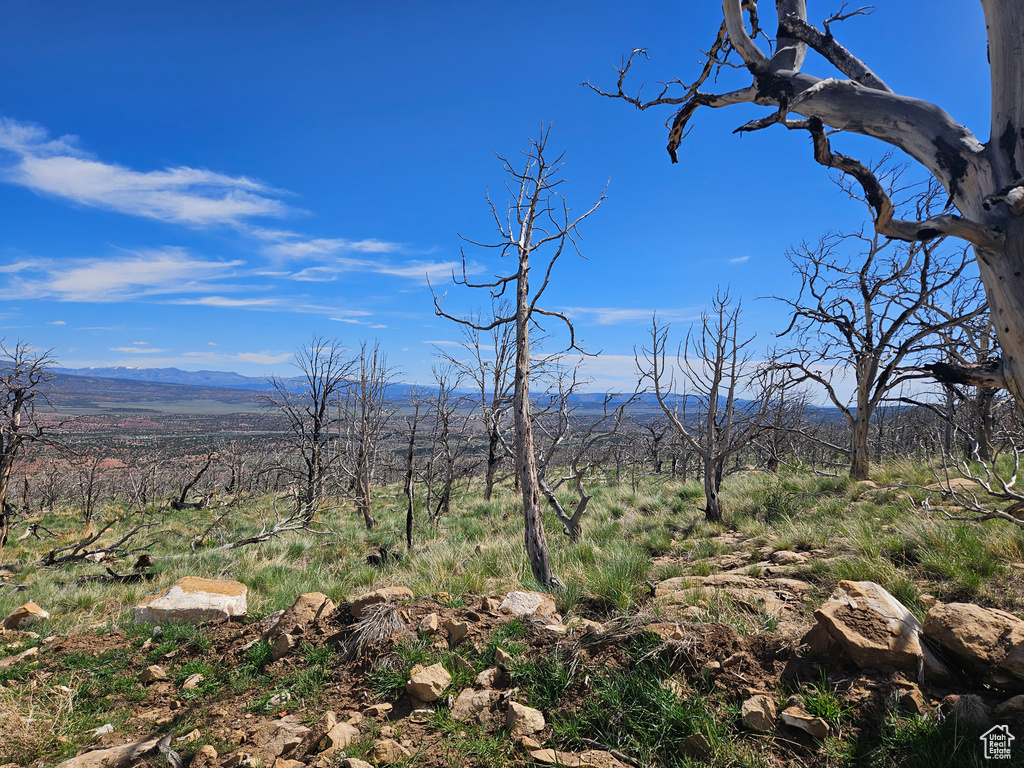 View of mountain backdrop