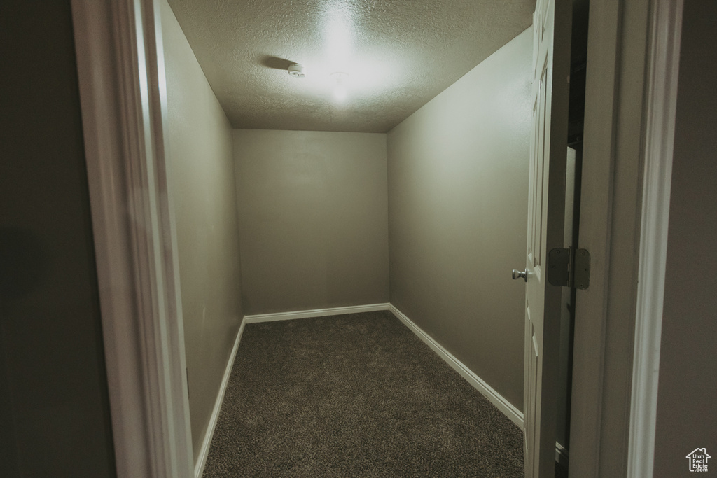 Walk in closet with dark colored carpet