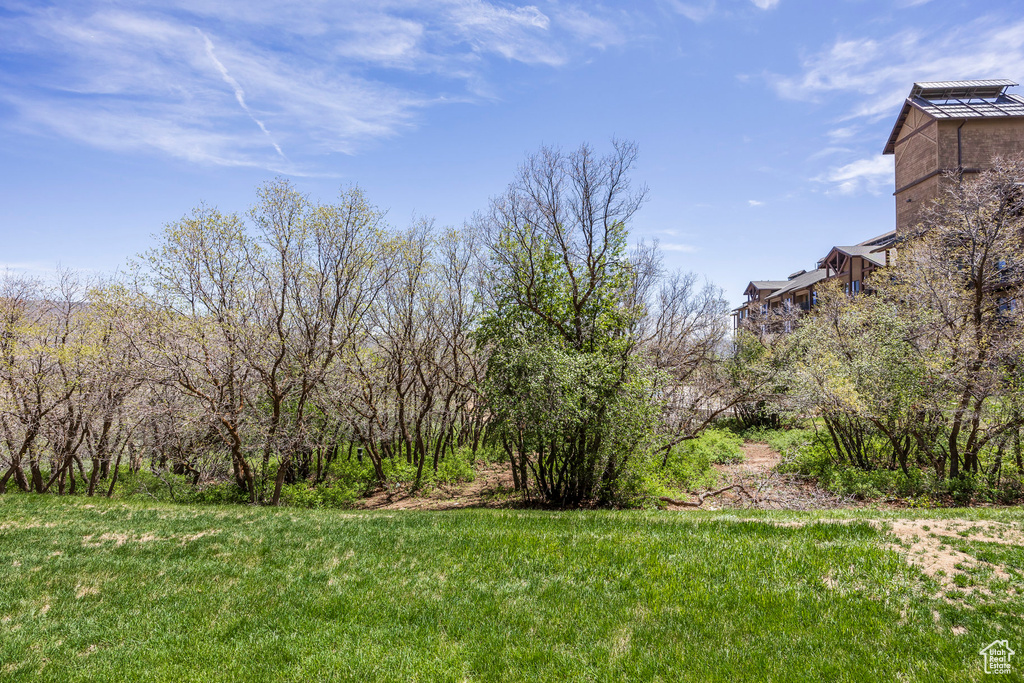 View of grassy yard