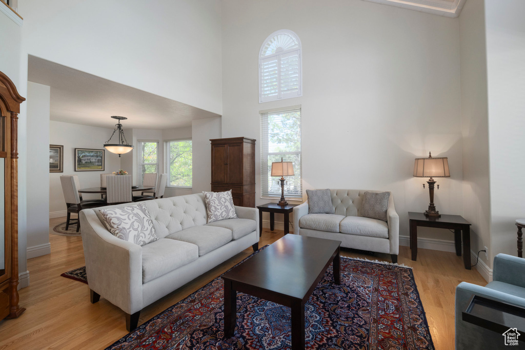 Living room with a high ceiling, light wood finished floors, and baseboards