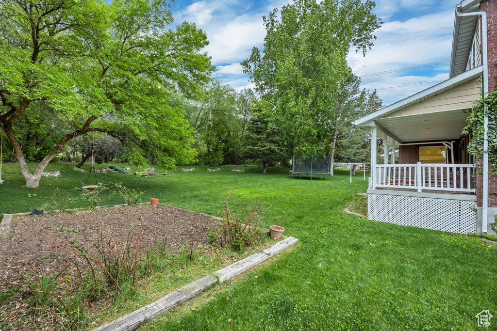 View of grassy yard featuring a trampoline