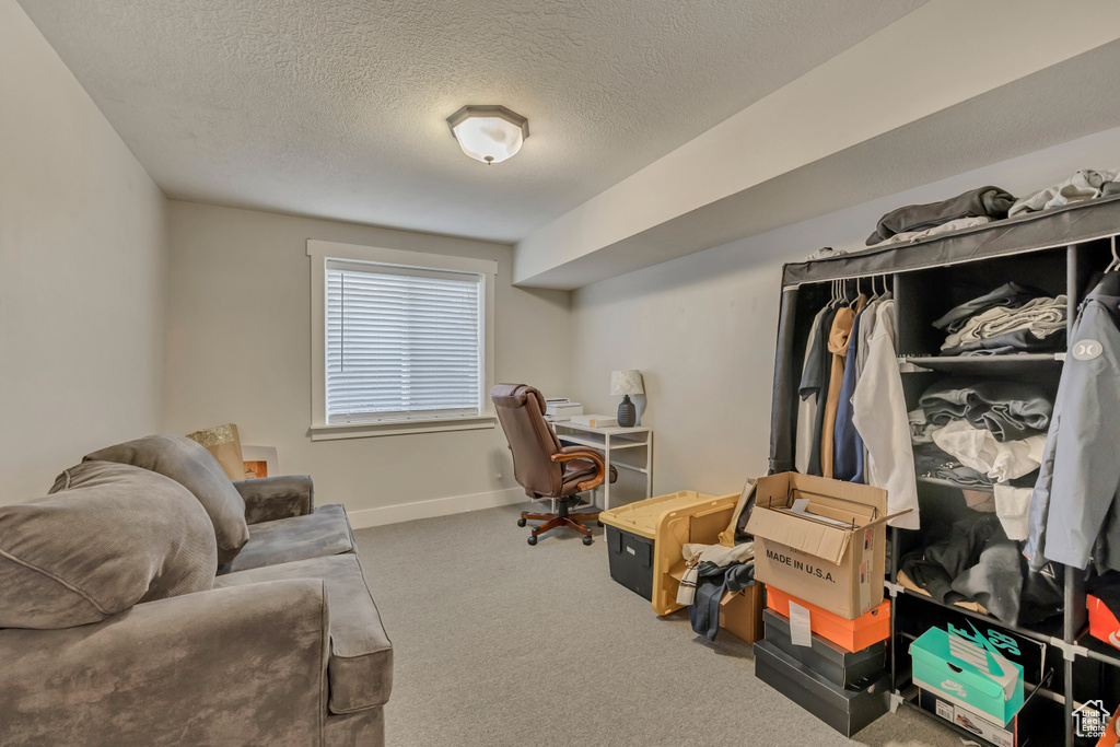 Office space featuring a textured ceiling, carpet, and baseboards