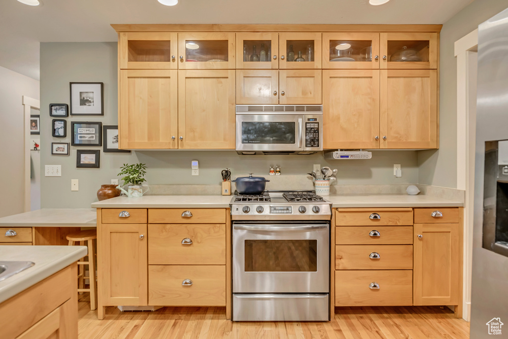 Kitchen with appliances with stainless steel finishes, light brown cabinets, and light countertops